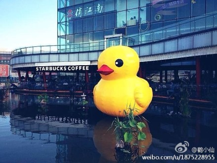 大黄鸭排名亦庄创意v高中高中广场版的?图地区现身沧州山寨图片